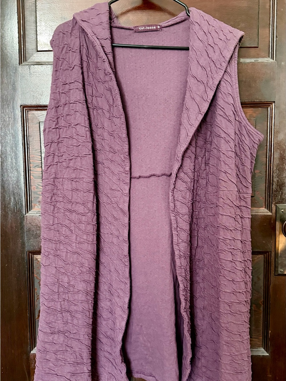 Cut Loose Textured Hooded Sleeveless Top in Mauve